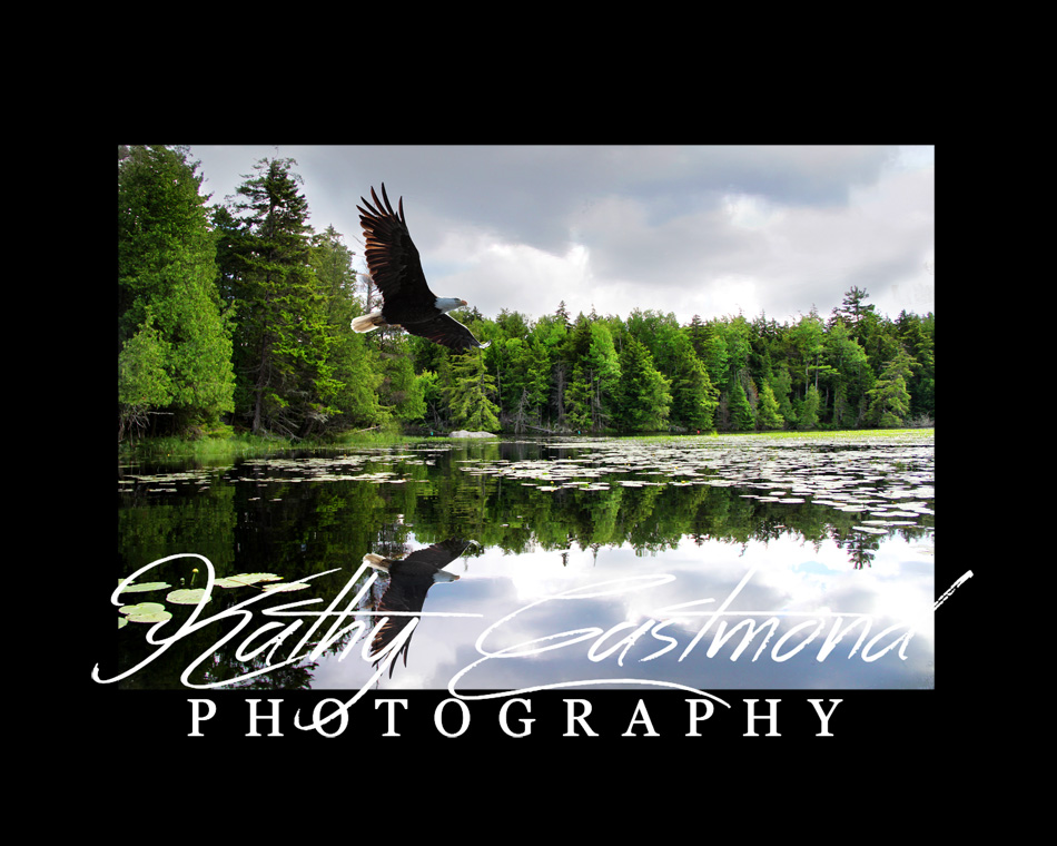 "Eagle on Saranac Lake"  5x7 print mounted on a black 8x10 acid-free matte for $25 with free shipping within the U.S.  (Kathy Eastmond's signature will replace the copyright  logo )