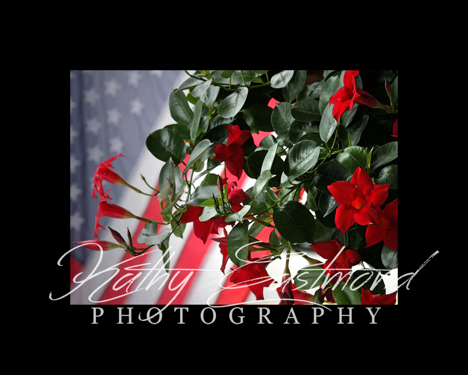 "July Fourth" 5x7 print mounted on a black 8x10 acid-free matte for $25 with free shipping within the U.S.  (Kathy Eastmond's signature will replace the copyright  logo )