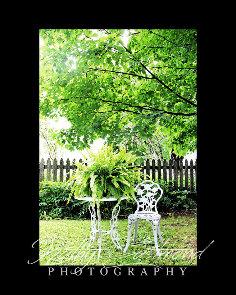 "Spring" 5x7 print mounted on a black 8x10 acid-free matte for $25 with free shipping within the U.S.  (Kathy Eastmond's signature will replace the copyright  logo )