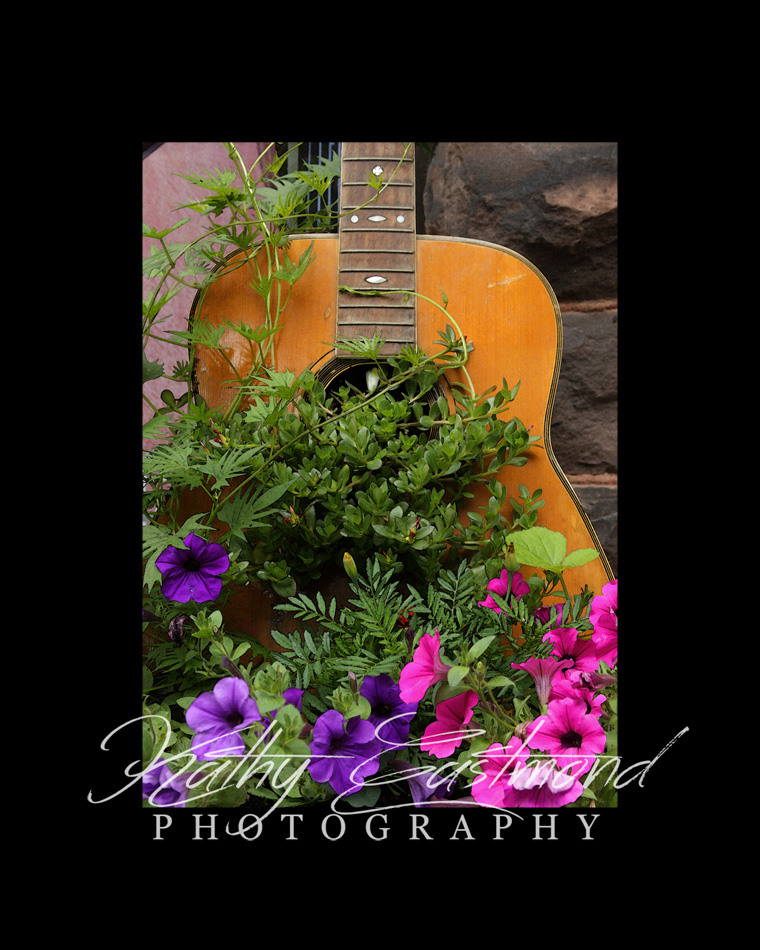 "Acoustic Guitar" 5x7 print mounted on a black 8x10 acid-free matte for $25 with free shipping within the U.S.  (Kathy Eastmond's signature will replace the copyright  logo )