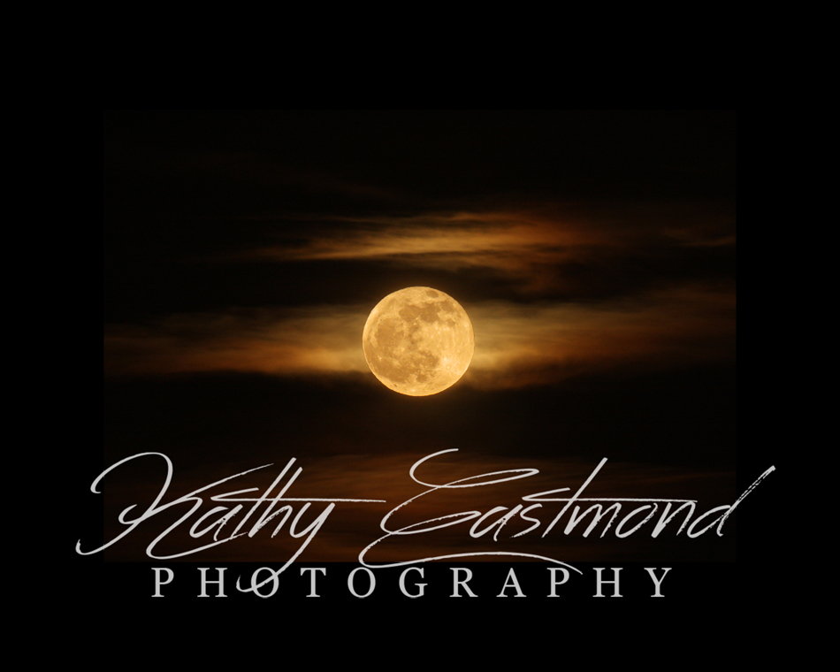 "Golden Moon" 5x7 print mounted on a black 8x10 acid-free matte for $25 with free shipping within the U.S.  (Kathy Eastmond's signature will replace the copyright  logo )