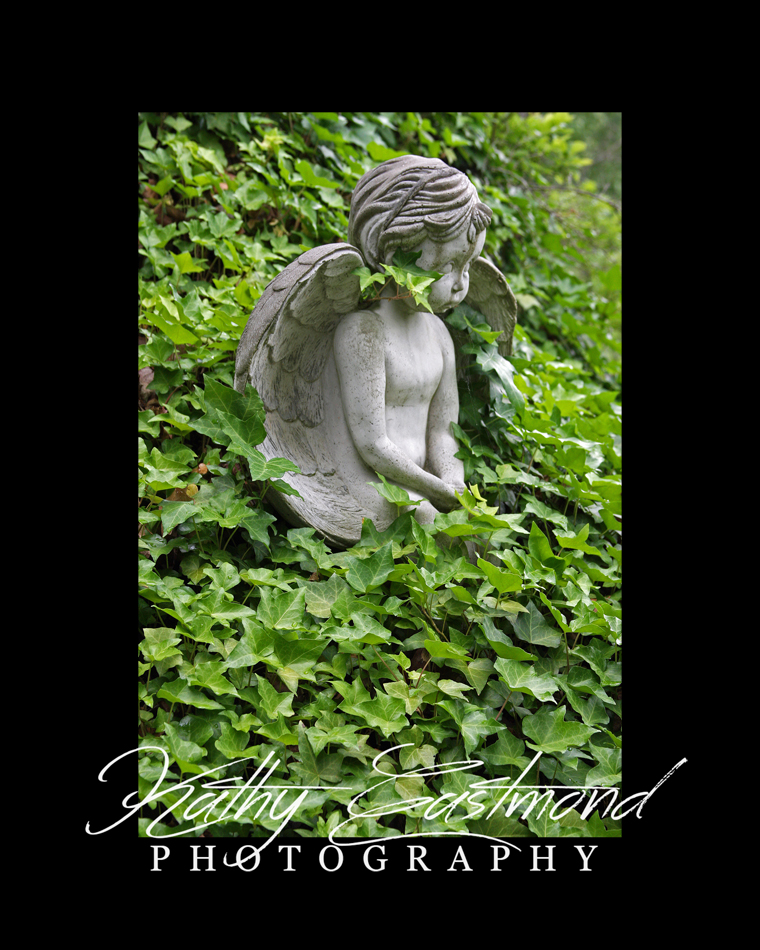 "Angel in Ivy" 5x7 print mounted on a black 8x10 acid-free matte for $25 with free shipping within the U.S.  (Kathy Eastmond's signature will replace the copyright logo)