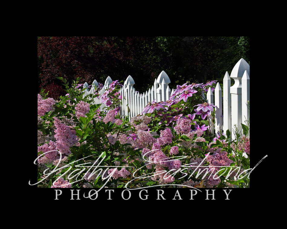 "Summer Garden" 5x7 print mounted on a black 8x10 acid-free matte for $25 with free shipping within the U.S.  (Kathy Eastmond's signature will replace the copyright  logo )