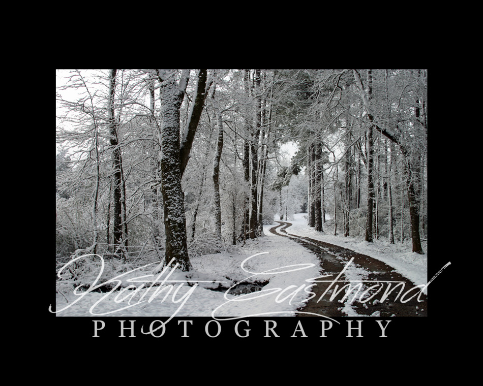 "Snow at Home" 5x7 print mounted on a black 8x10 acid-free matte for $25 with free shipping within the U.S.  (Kathy Eastmond's signature will replace the copyright  logo )